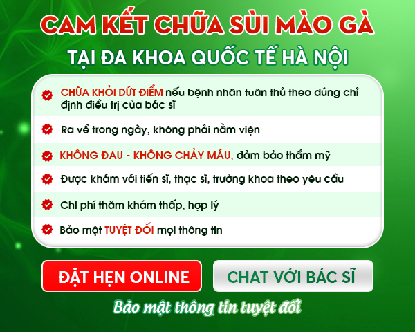 cam kết điều trị sùi mào gà